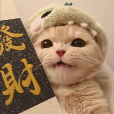 Ảnh đại diện người dùng Images (3)